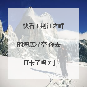 快看！荆江之畔的海底星空 你去打卡了吗？