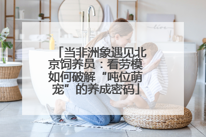 当非洲象遇见北京饲养员：看劳模如何破解“吨位萌宠”的养成密码