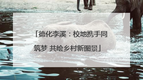 德化李溪：校地携手同筑梦 共绘乡村新图景