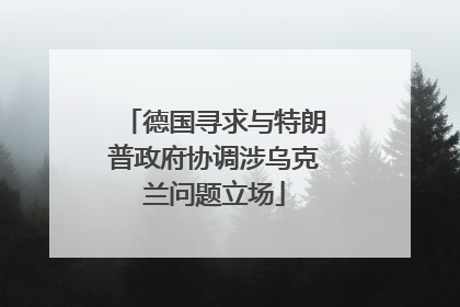 德国寻求与特朗普政府协调涉乌克兰问题立场
