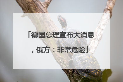 德国总理宣布大消息，俄方：非常危险