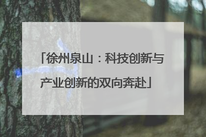 徐州泉山：科技创新与产业创新的双向奔赴