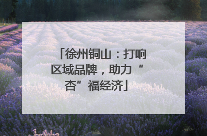 徐州铜山：打响区域品牌，助力“杏”福经济