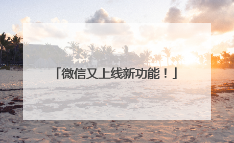 微信又上线新功能！