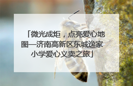 微光成炬，点亮爱心地图—济南高新区东城逸家小学爱心义卖之旅