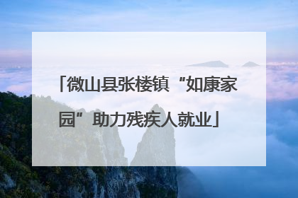 微山县张楼镇“如康家园”助力残疾人就业