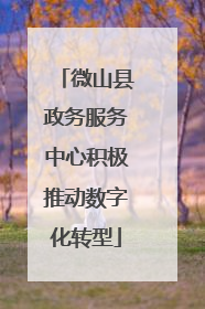 微山县政务服务中心积极推动数字化转型
