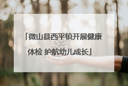 微山县西平镇开展健康体检 护航幼儿成长