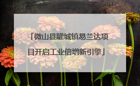 微山县驩城镇易兰达项目开启工业倍增新引擎