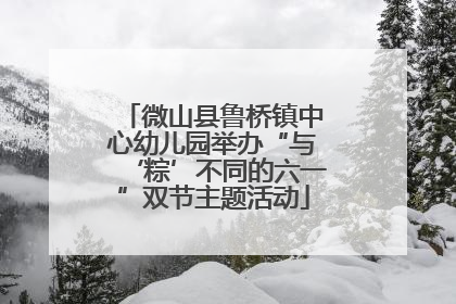 微山县鲁桥镇中心幼儿园举办“与‘粽’不同的六一”双节主题活动