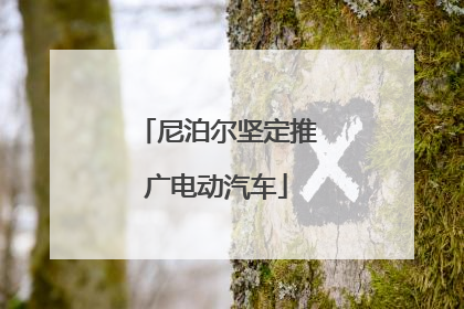 尼泊尔坚定推广电动汽车