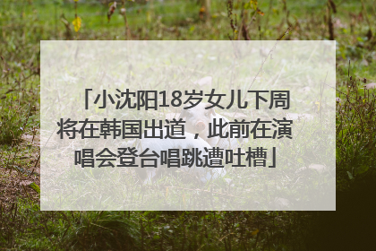 小沈阳18岁女儿下周将在韩国出道，此前在演唱会登台唱跳遭吐槽
