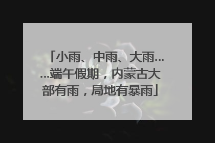 小雨、中雨、大雨……端午假期，内蒙古大部有雨，局地有暴雨