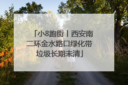 小8跑街丨西安南二环金水路口绿化带垃圾长期未清
