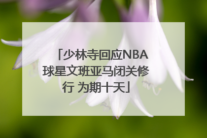 少林寺回应NBA球星文班亚马闭关修行 为期十天