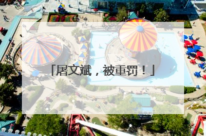 屠文斌，被重罚！