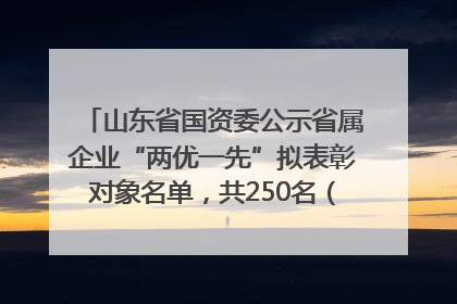 山东省国资委公示省属企业“两优一先”拟表彰对象名单，共250名（个）党员和党组织