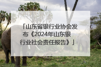 山东省银行业协会发布《2024年山东银行业社会责任报告》