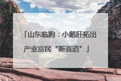 山东临朐：小鹅肝拓出产业富民“新赛道”