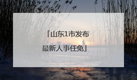 山东1市发布最新人事任免