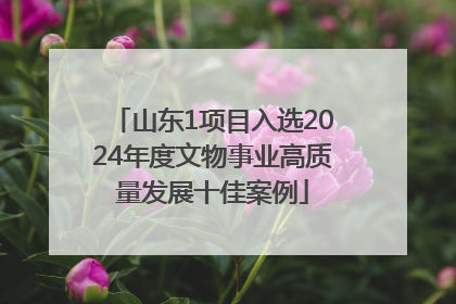 山东1项目入选2024年度文物事业高质量发展十佳案例