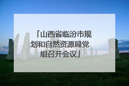 山西省临汾市规划和自然资源局党组召开会议