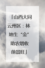山西大同云州区：林地生“金” 助农增收前景旺