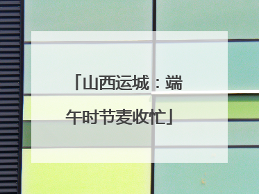 山西运城：端午时节麦收忙