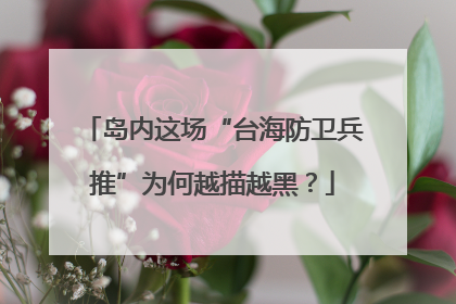 岛内这场“台海防卫兵推”为何越描越黑？