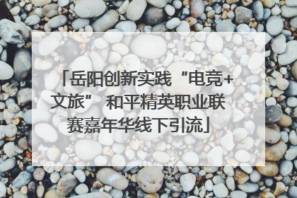 岳阳创新实践“电竞+文旅” 和平精英职业联赛嘉年华线下引流