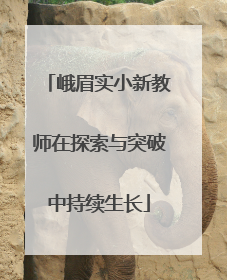 峨眉实小新教师在探索与突破中持续生长
