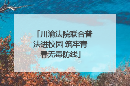 川渝法院联合普法进校园 筑牢青春无毒防线