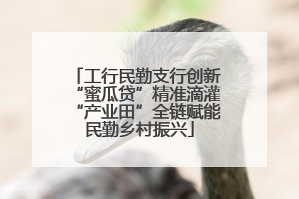 工行民勤支行创新“蜜瓜贷”精准滴灌“产业田”全链赋能民勤乡村振兴