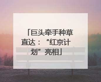 巨头牵手种草直达：“红京计划”亮相