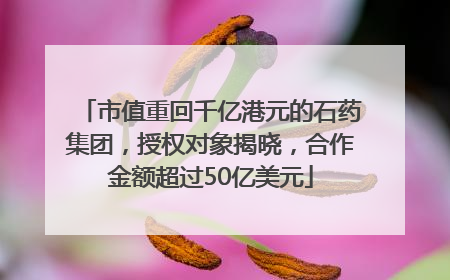 市值重回千亿港元的石药集团，授权对象揭晓，合作金额超过50亿美元