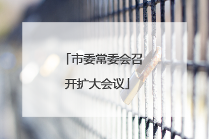 市委常委会召开扩大会议