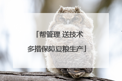 帮管理 送技术 多措保障夏粮生产