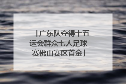 广东队夺得十五运会群众七人足球赛佛山赛区首金