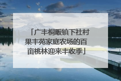 广丰桐畈镇下社村果丰苑家庭农场的百亩桃林迎来丰收季