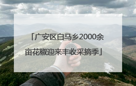 广安区白马乡2000余亩花椒迎来丰收采摘季