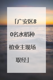 广安区80名水稻种植业主现场取经