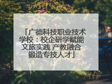 广德科技职业技术学校：校企研学赋能文旅实践 产教融合锻造专技人才