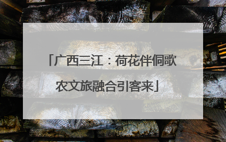 广西三江：荷花伴侗歌 农文旅融合引客来