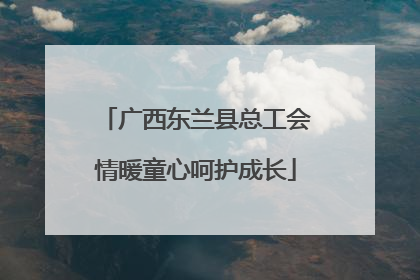 广西东兰县总工会情暖童心呵护成长