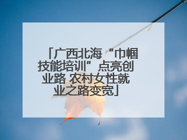 广西北海“巾帼技能培训”点亮创业路 农村女性就业之路变宽