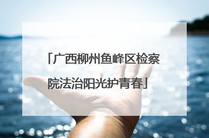 广西柳州鱼峰区检察院法治阳光护青春
