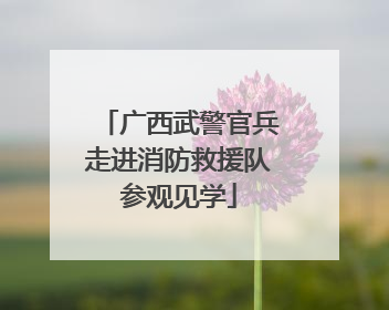 广西武警官兵走进消防救援队参观见学