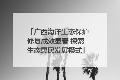 广西海洋生态保护修复成效显著 探索生态惠民发展模式