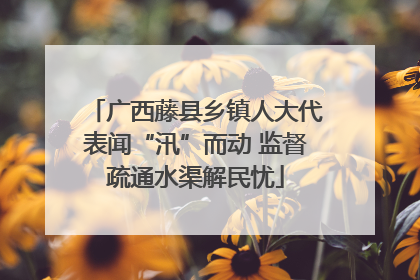 广西藤县乡镇人大代表闻“汛”而动 监督疏通水渠解民忧