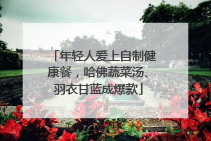 年轻人爱上自制健康餐，哈佛蔬菜汤、羽衣甘蓝成爆款